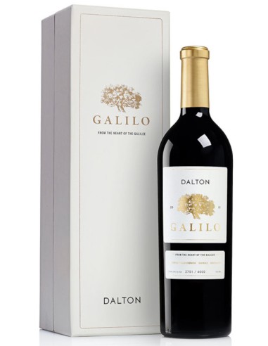 Dalton Galilo 2023 Dalton Galilo 2023