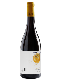 Agur Layam Blanc 2024 – La Complexité Minérale de la Vallée d'Ella