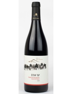 Odem Forest Red Blend 2023